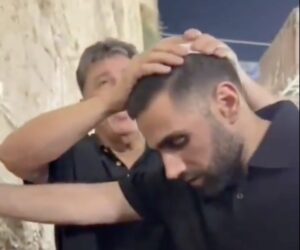 segev kalfon