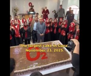 gaza cake