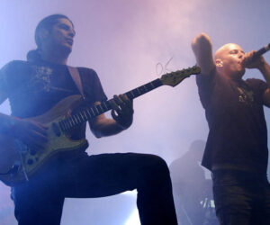 Infected Mushroom