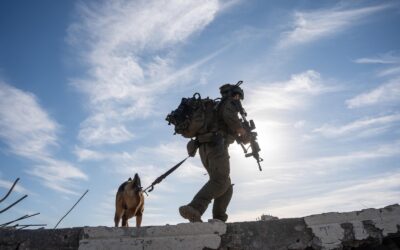 idf gaza
