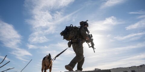 idf gaza