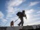 idf gaza