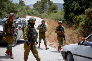 idf checkpoint