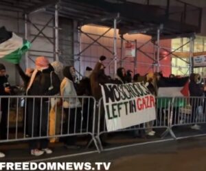 Anti-Israel activists