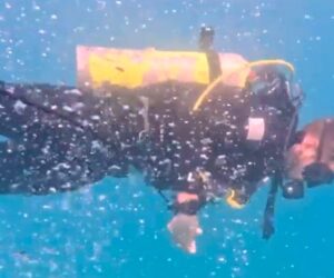 Israeli divers