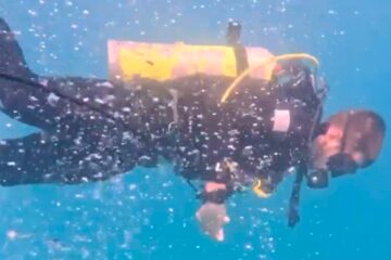 Israeli divers