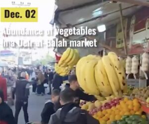Gaza market