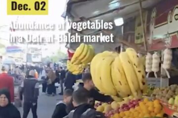 Gaza market