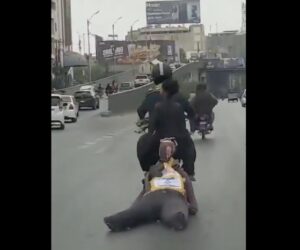 Benjamin Netanyahu effigy