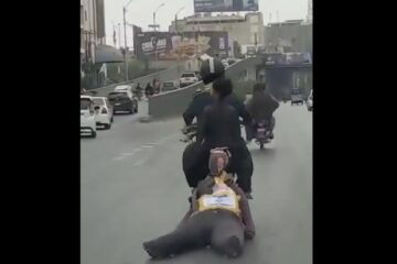 Benjamin Netanyahu effigy