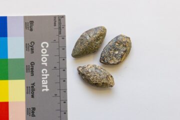 bullets
