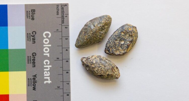 First material evidence of Judah Maccabee’s battlefield discovered near Jerusalem