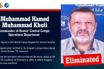 Muhammad Hamed Muhammad Khuli