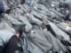 body bags