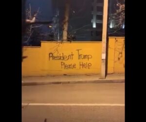Iranian protester