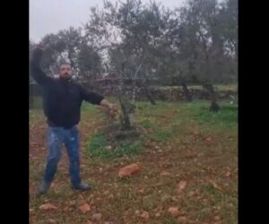 rock throwing