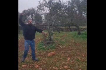 rock throwing