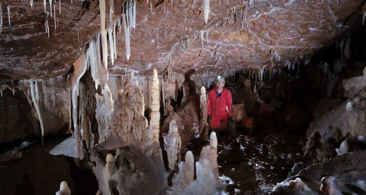 Mammoth cave found near Ofra in Samaria