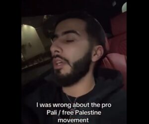 pro-Palestinian