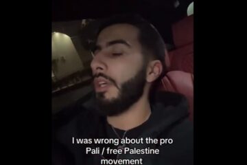 pro-Palestinian