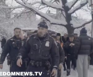 NYPD officers