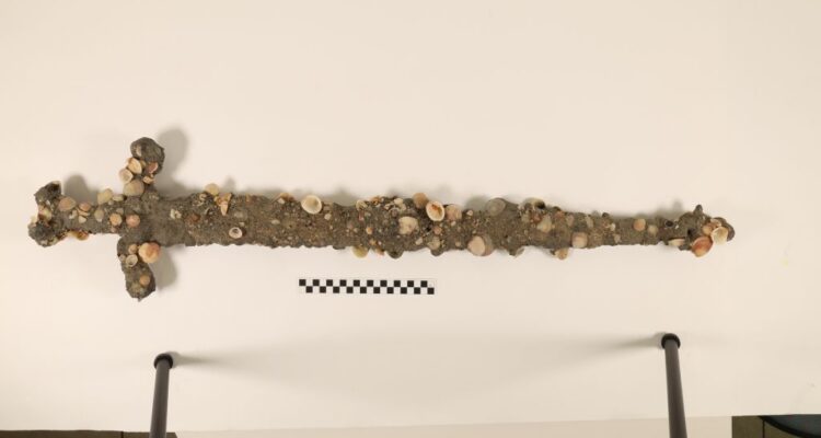 Student finds 800-year-old Crusader sword off Israeli coast