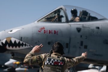 warthog