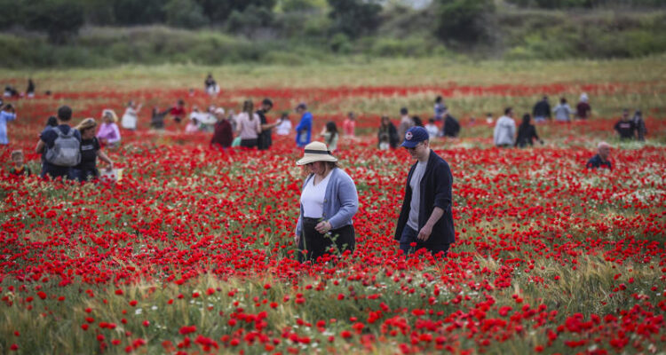 ‘It’s terrible — what was the war for?’ Israelis doubt ceasefire will last