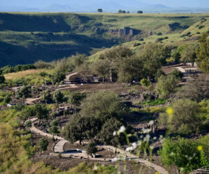 Golan Heights