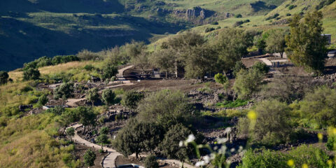 Golan Heights