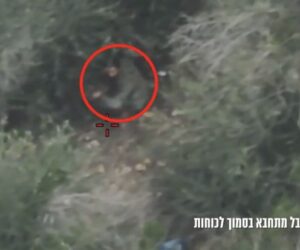 Hezbollah terrorist