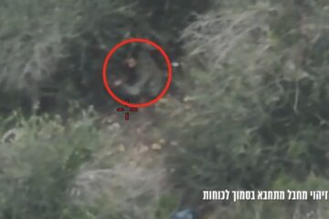 Hezbollah terrorist