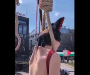meat hooks