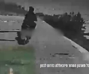 IDF drone
