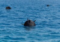 sea mines
