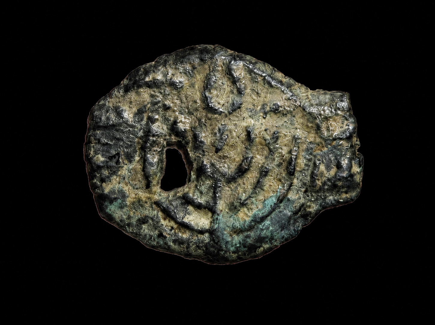 Looted Israeli coins
