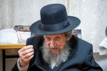 Dov Landau