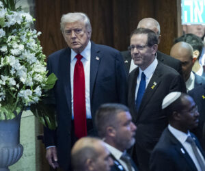 Trump Herzog