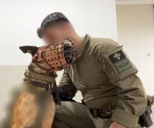 Bernie, IDF dog