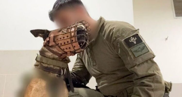 IDF canine Bernie dies in Hezbollah attack after detecting terrorists
