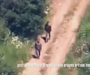 IDF hezbollah