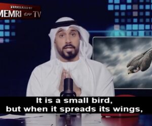 UAE news