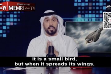 UAE news
