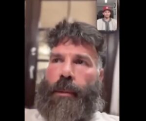dan bilzerian