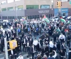 anti-israel brooklyn
