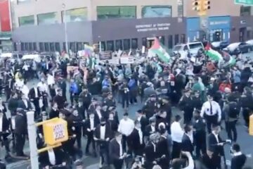 anti-israel brooklyn