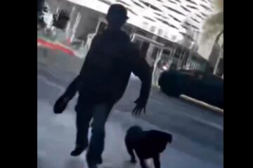 Santa Monica antisemitism
