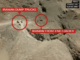 Satellite Iranian missiles