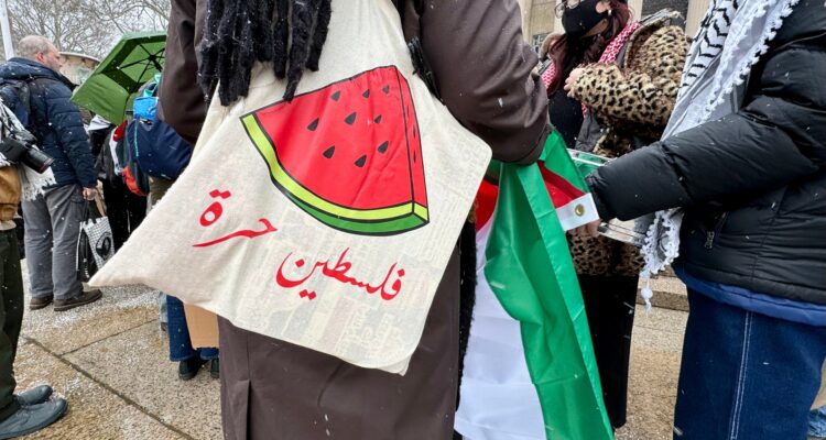 German intelligence warns watermelon symbol tied to extremist anti-Israel movements