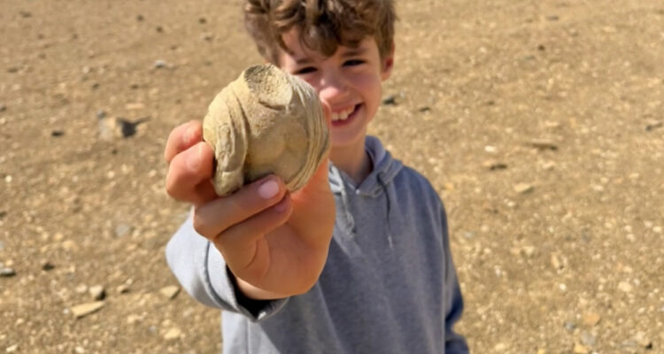 8-year-old boy discovers ancient statuette in southern Israel